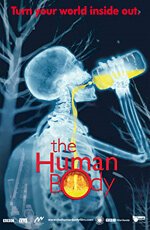 Смотреть фильм Человеческое тело / The Human Body (2001) онлайн в хорошем качестве HDRip