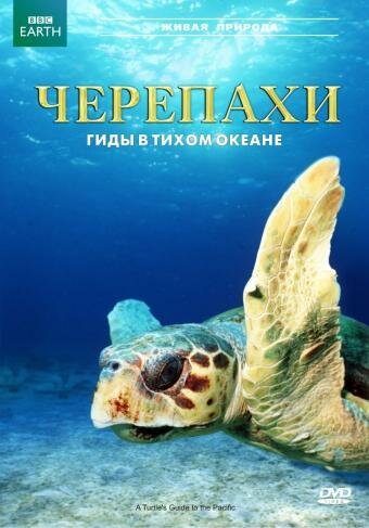 Смотреть фильм Черепахи: Гиды в Тихом океане / A Turtle's Guide to the Pacific (2008) онлайн в хорошем качестве HDRip