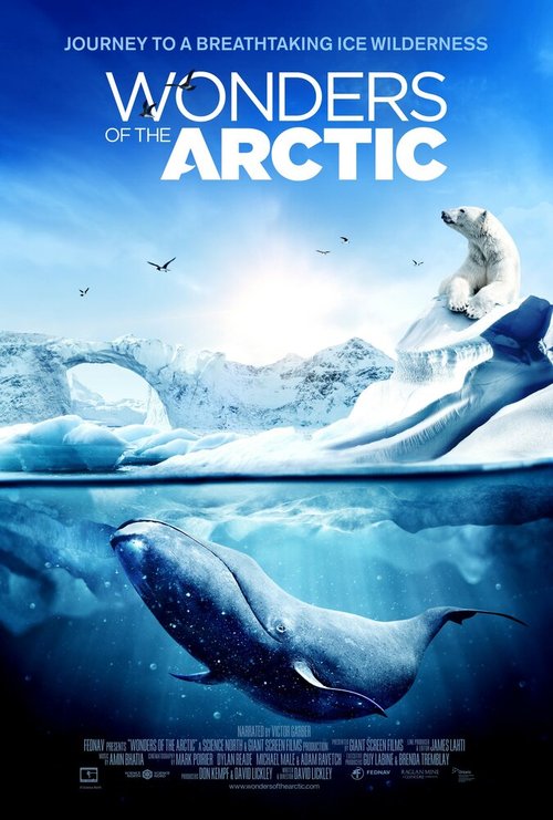 Смотреть фильм Чудеса Арктики / Wonders of the Arctic 3D (2014) онлайн 