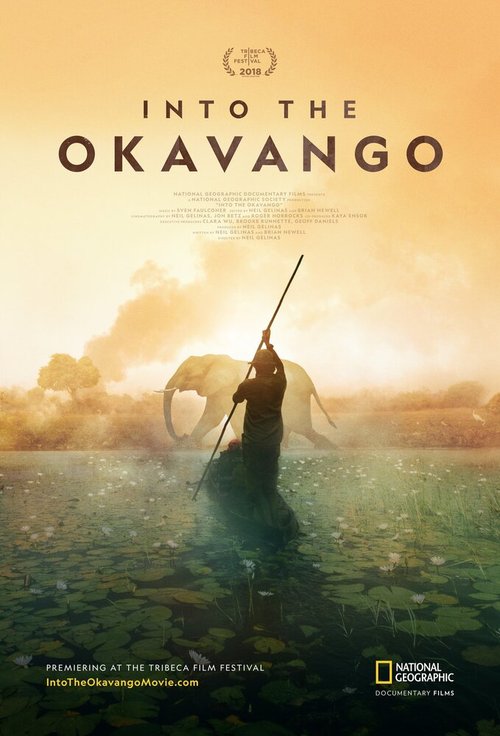 Смотреть фильм Далеко в Окаванго / Into the Okavango (2018) онлайн в хорошем качестве HDRip