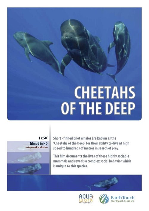 Смотреть фильм Дельфины — гепарды морских глубин / Cheetahs of the Deep (2014) онлайн 
