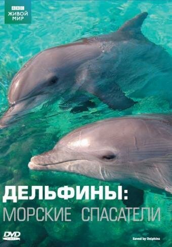 Смотреть фильм Дельфины: Морские спасатели / Saved by Dolphins (2008) онлайн в хорошем качестве HDRip