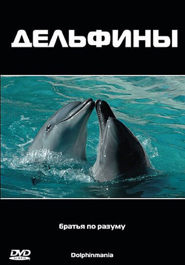 Смотреть фильм Дельфины / Dolphinmania (2003) онлайн в хорошем качестве HDRip