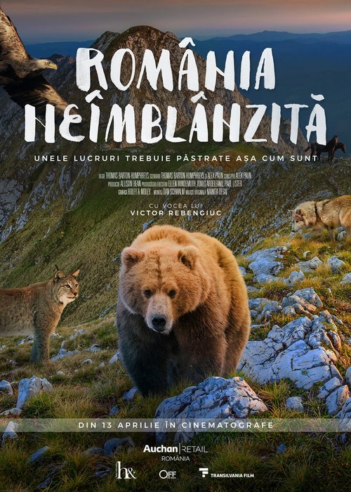 Смотреть фильм Дикая Румыния / România neîmblânzită (2018) онлайн в хорошем качестве HDRip