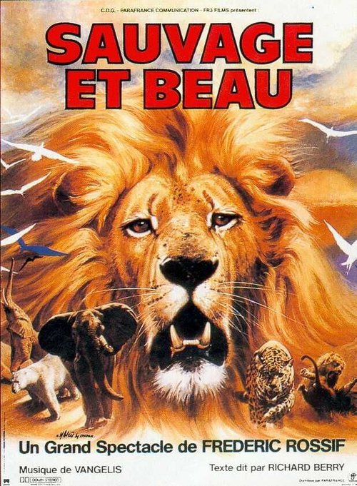 Смотреть фильм Дикие и прекрасные / Sauvage et beau (1984) онлайн в хорошем качестве SATRip