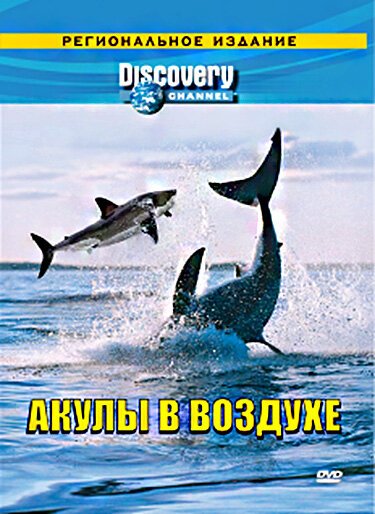 Смотреть фильм Discovery: Акулы в воздухе / Air Jaws II: Even Higher (2002) онлайн в хорошем качестве HDRip
