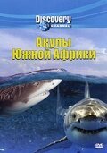 Смотреть фильм Discovery: Акулы Южной Африки / Air Jaws: Sharks of South Africa (2001) онлайн 