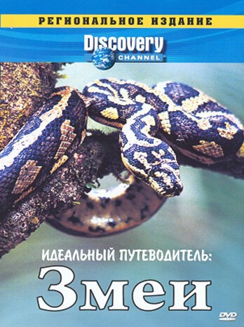 Смотреть фильм Discovery: Идеальный путеводитель. Змеи / The Ultimate Guide: Snakes (1997) онлайн в хорошем качестве HDRip