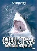 Смотреть фильм Discovery: Океан страха. Самое страшное нападение акул / Ocean of Fear (2007) онлайн в хорошем качестве HDRip
