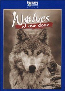 Смотреть фильм Discovery: Волки / Wolves at Our Door (1997) онлайн в хорошем качестве HDRip