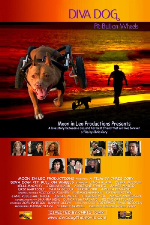Смотреть фильм Diva Dog: Pit Bull on Wheels (2005) онлайн 