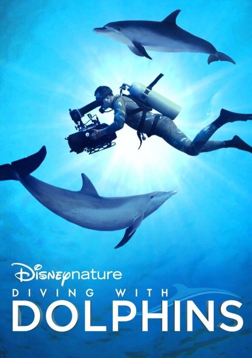 Смотреть фильм Diving with Dolphins (2020) онлайн в хорошем качестве HDRip