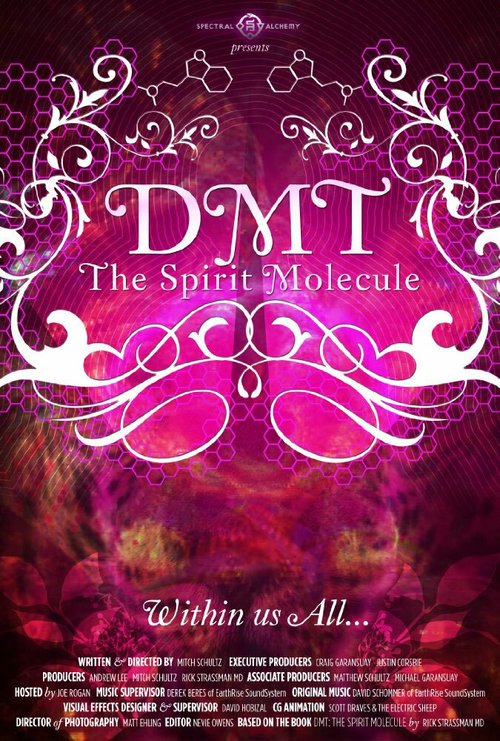 Смотреть фильм ДМТ: Молекула духа / DMT: The Spirit Molecule (2010) онлайн в хорошем качестве HDRip