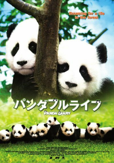 Смотреть фильм Дневник панды / Pandafuru raifu (2008) онлайн 