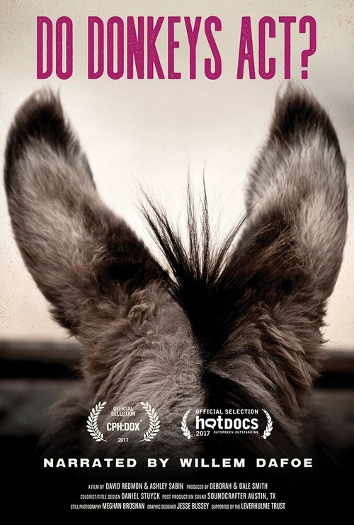 Смотреть фильм Do Donkeys Act? (2017) онлайн в хорошем качестве HDRip