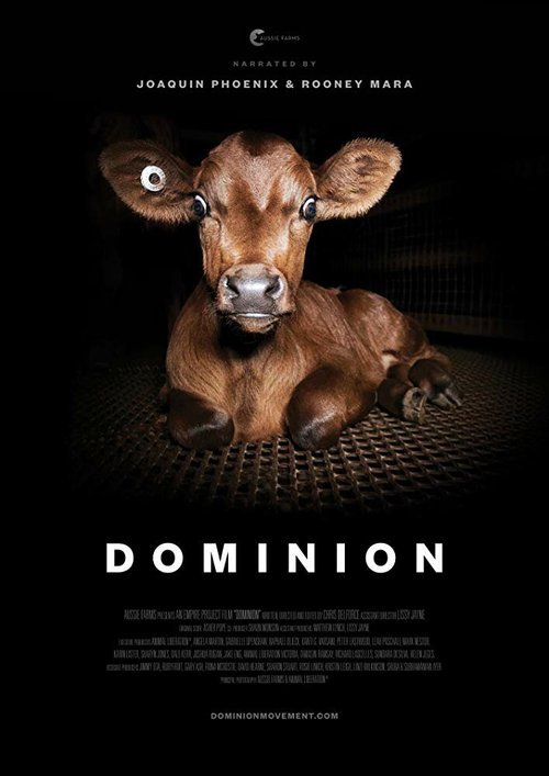 Смотреть фильм Доминион / Dominion (2018) онлайн в хорошем качестве HDRip
