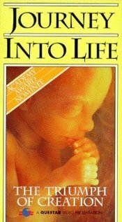 Смотреть фильм Экскурсия внутрь жизни: Мир нерожденного / Journey Into Life: The World of the Unborn (1990) онлайн в хорошем качестве HDRip