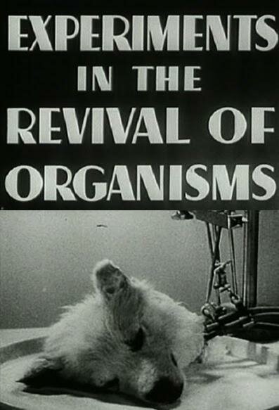 Смотреть фильм Эксперименты по оживлению организмов / Experiments in the Revival of Organisms (1940) онлайн в хорошем качестве SATRip