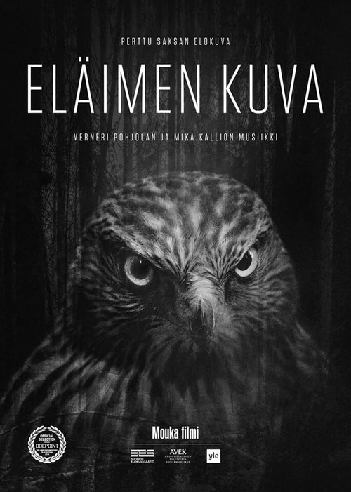 Смотреть фильм Eläimen kuva (2018) онлайн в хорошем качестве HDRip