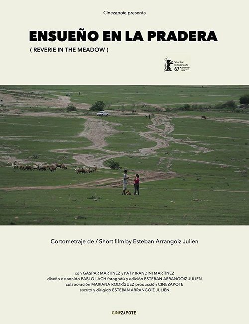 Смотреть фильм Ensueño en la Pradera (2017) онлайн 