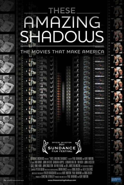 Смотреть фильм Эти удивительные тени / These Amazing Shadows (2011) онлайн в хорошем качестве HDRip