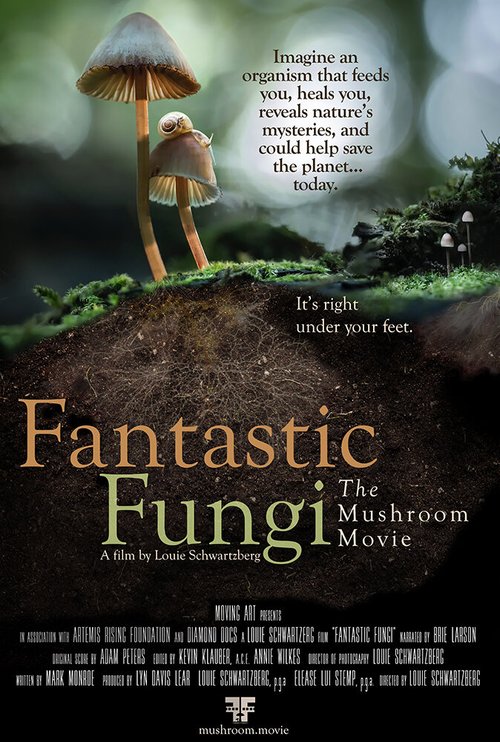 Смотреть фильм Фантастические грибы / Fantastic Fungi (2019) онлайн в хорошем качестве HDRip