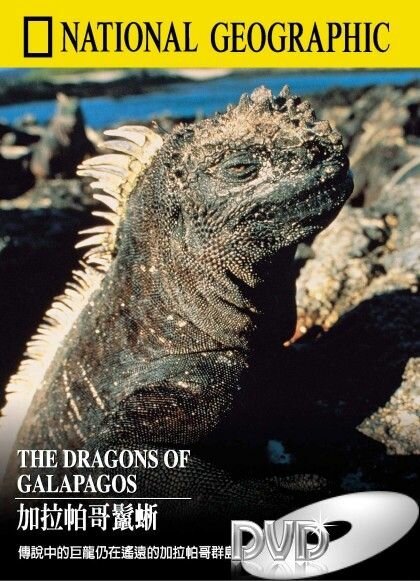 Галапагосские драконы / The Dragons of Galapagos