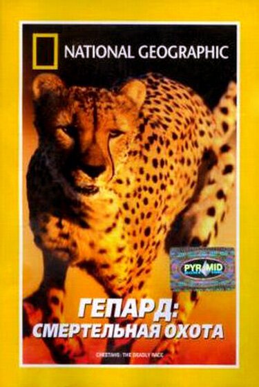 Смотреть фильм Гепард: Смертельная охота / Cheetahs: The Deadly Race (2002) онлайн в хорошем качестве HDRip