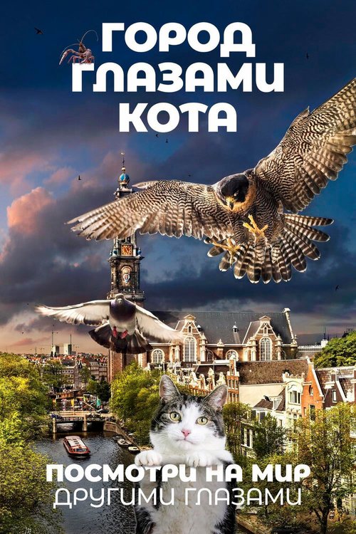 Смотреть фильм Город глазами кота / De wilde stad (2018) онлайн в хорошем качестве HDRip