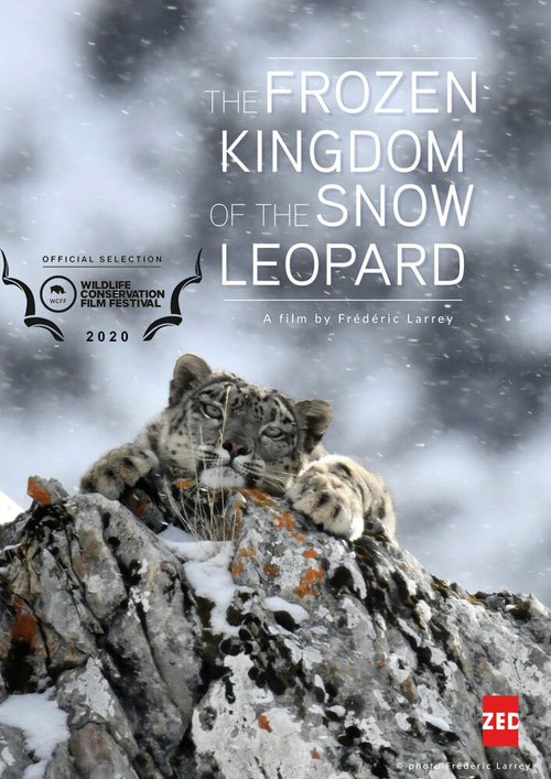 Смотреть фильм Холодное королевство снежного барса / Le royaume glacé de la panthère des neiges (2020) онлайн в хорошем качестве HDRip