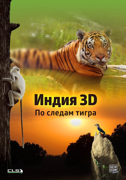 Смотреть фильм Индия 3D: По следам тигра / India 3D: On The Trail Of The Tiger (2014) онлайн в хорошем качестве HDRip