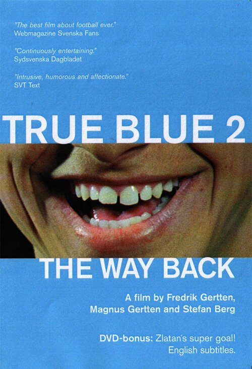 Смотреть фильм Истинно синий 2 — Путь домой / Vägen tillbaka - Blådårar 2 (2002) онлайн в хорошем качестве HDRip