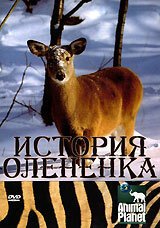 Смотреть фильм История олененка / The Littlest Reindeer (2003) онлайн в хорошем качестве HDRip