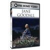 Смотреть фильм Jane Goodall: Reason for Hope (1999) онлайн в хорошем качестве HDRip