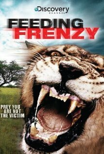 Смотреть фильм Как прокормить крокодила / Crocodile Feeding Frenzy (2008) онлайн 