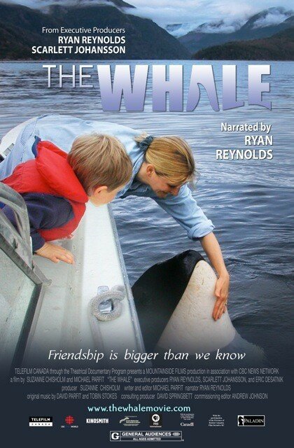 Смотреть фильм Кит / The Whale (2011) онлайн в хорошем качестве HDRip