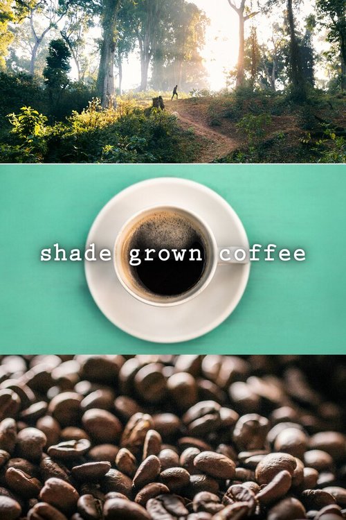 Смотреть фильм Кофе в тени / Shade Grown Coffee (2020) онлайн в хорошем качестве HDRip