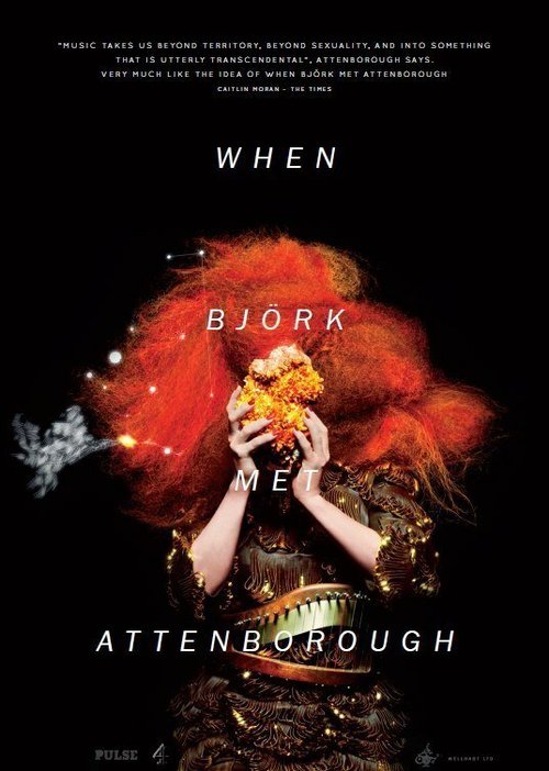 Смотреть фильм Когда Бьорк встретила Аттенборо / When Björk Met Attenborough (2013) онлайн 
