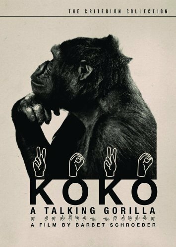 Смотреть фильм Коко, говорящая горилла / Koko, le gorille qui parle (1978) онлайн в хорошем качестве SATRip