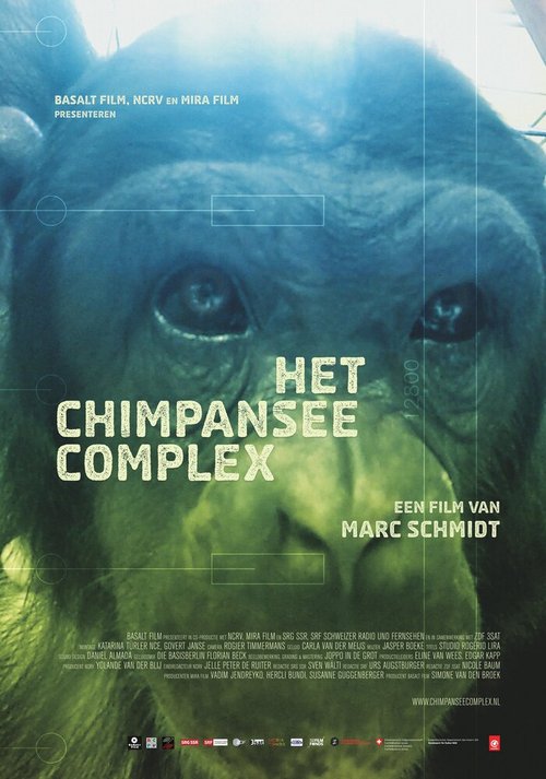 Комплекс шимпанзе / Het Chimpansee Complex