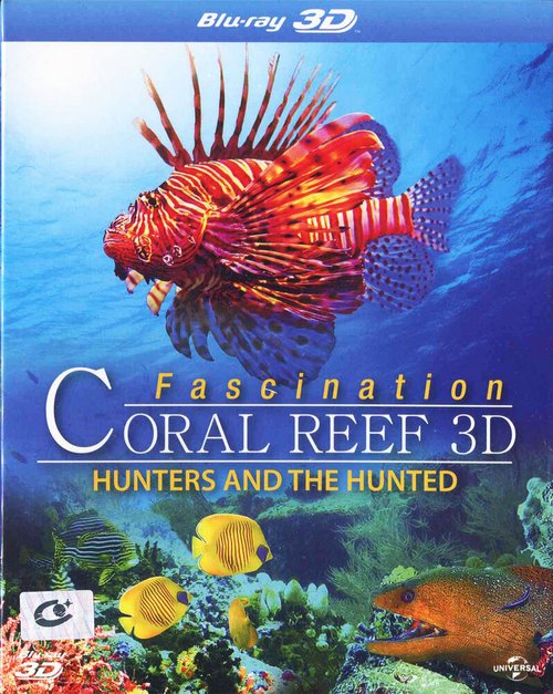 Смотреть фильм Коралловый риф: Охотники и жертвы / Fascination Coral Reef 3D: Hunters & the Hunted (2012) онлайн в хорошем качестве HDRip