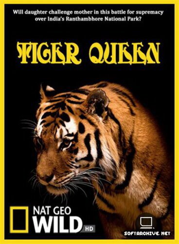 Смотреть фильм Королева тигров / Tiger Queen (2010) онлайн 