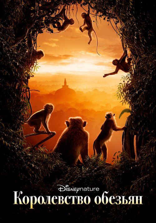 Смотреть фильм Королевство обезьян / Monkey Kingdom (2015) онлайн в хорошем качестве HDRip