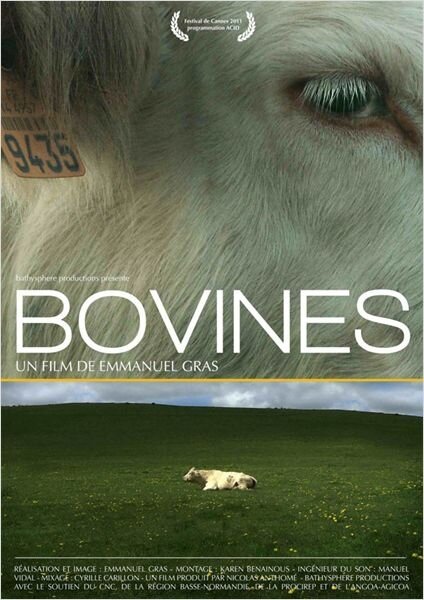 Смотреть фильм Коровы / Bovines (2011) онлайн в хорошем качестве HDRip