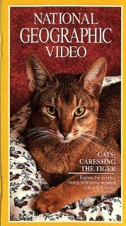 Смотреть фильм Кошки: Ласковые тигры / Cats: Caressing the Tiger (1991) онлайн в хорошем качестве HDRip
