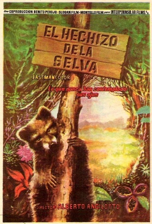 Смотреть фильм L'incanto della foresta (1957) онлайн в хорошем качестве SATRip