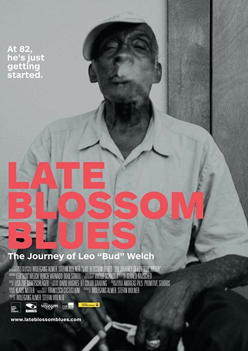 Смотреть фильм Late Blossom Blues (2017) онлайн в хорошем качестве HDRip