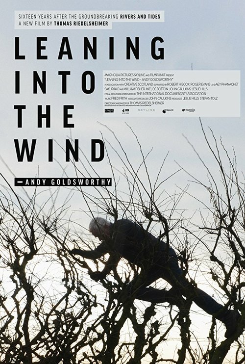 Смотреть фильм Leaning Into the Wind: Andy Goldsworthy (2017) онлайн в хорошем качестве HDRip