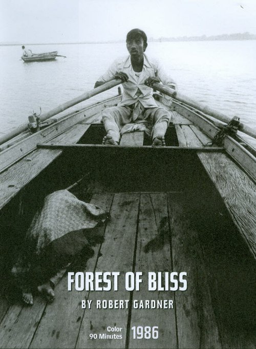 Смотреть фильм Лес блаженства / Forest of Bliss (1986) онлайн в хорошем качестве SATRip