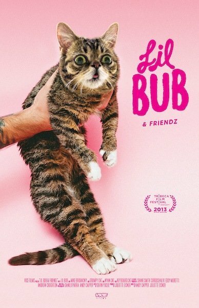Смотреть фильм Лил Буб и друзья / Lil Bub & Friendz (2013) онлайн в хорошем качестве HDRip